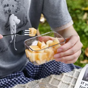 Portable transparent plastic fruit storage box ideal for outdoor picnic salad containers