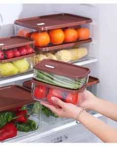 Detailaufnahme von Händen, die transparente PET-Kühlschrankboxen mit Gemüse halten