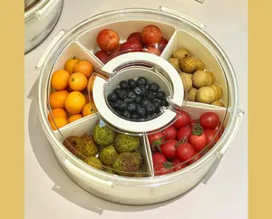 Detailed view of a circular 6-compartment food container filled with fresh fruits