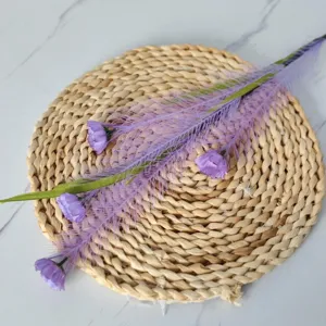 Vue détaillée d'une branche de fleurs de roseau violettes pour décoration florale