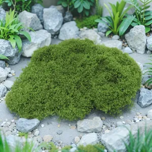 Realistic Artificial Moss Turf Fake Green Moss Lichen For Micro Landscape Rockery Fairy Garden Potted Plant Lawn Decor