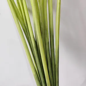 Detailed macro shot of green artificial shallot grass stems for home interior decoration
