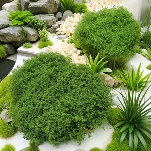 Simulated moss turf green balls for micro landscape rockery garden decoration and DIY bonsai.