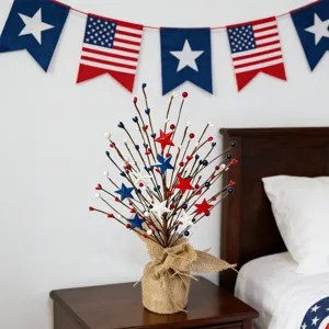 Patriotische Onafhankelijkheidsdag tafeldecoratie rood wit blauw ster bes tak.