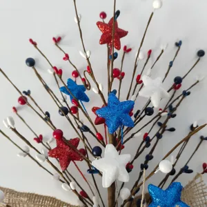 Detalle de rama de bayas con estrellas rojo blanco azul patriótico para fiesta nacional.