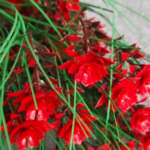 Detailed close-up of vibrant artificial red flowers and green grass stems for home decor.