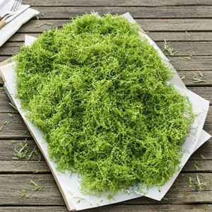 Artificial Moss Turf Synthetic Fake Green Grass For Micro Landscape Potted Plant Decoration Realistic Moss Sheet For Home Garden Outdoor Decor