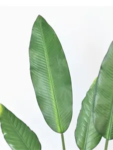 Artificial banana leaf detail close-up, realistic green plant leaves for home decor and props.