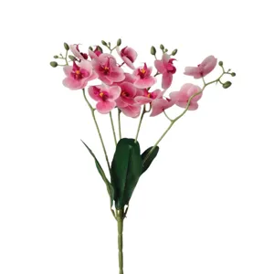 Artificial phalaenopsis orchid single stem with leaves fake flower for home wedding decor.