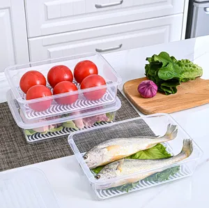 Macro view of rectangular storage containers with internal drainage tray for food freshness.
