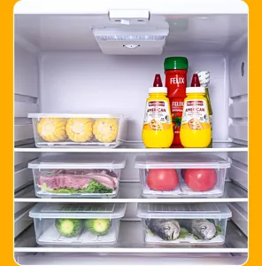 Transparent rectangular food storage boxes organizing fresh fish and vegetables in a fridge.