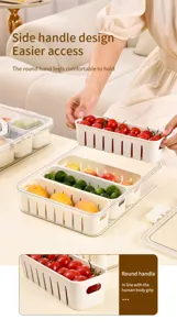 Close-up of food grade fridge storage box with detachable drain basket for fresh fruit