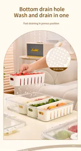 Detail view of multi-compartment food storage box showing bottom drain holes