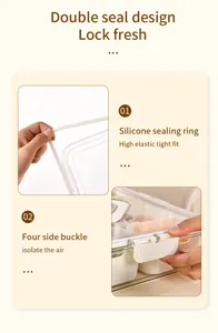Detail of food storage container with silicone seal and four-side locking buckles
