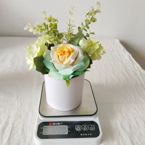 Künstliche Rose im Topf auf einer Digitalwaage mit 122 Gramm Gewicht