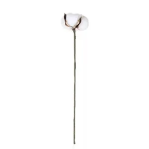 Tige de coton séchée seule tête de fleur pour décoration florale de Noël DIY maison.