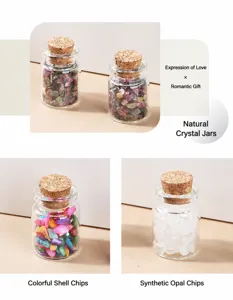 Vista detallada de varios fragmentos de cristal y concha en pequeños frascos