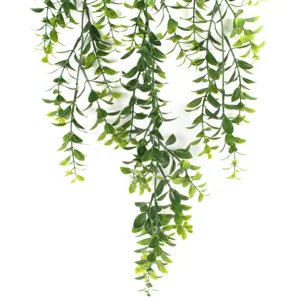 Close-up detail of artificial green Persian leaf hanging vine against white background.