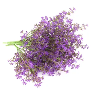 Nahaufnahme lila künstlicher Schleierkrautblumen mit realistischer PU-Textur.
