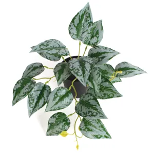 Macro view of artificial watermelon leaf plant with realistic silver variegation