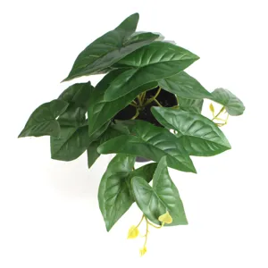 Overhead view of artificial potted plant with lush green heart-shaped leaves for home decor