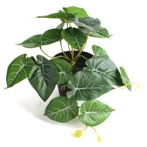 High-detail macro view of artificial Alocasia leaves with realistic white veins in black pot