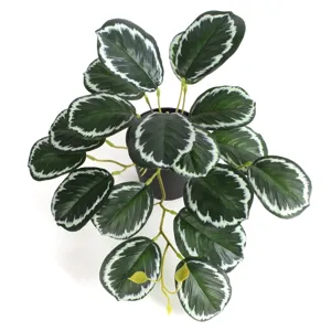 Top view detail of artificial Calathea plant with dark green leaves and white stripes