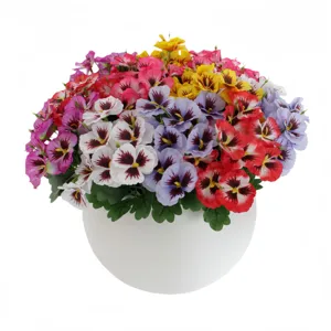 Close-up detail of vibrant colorful artificial pansies in white pot for home decor.