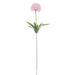 Detaillierte Nahaufnahme einer einzelnen rosa künstlichen Chrysantheme Ping-Pong-Blume