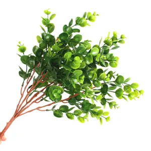 Artificial eucalyptus money leaves branch for home and wedding floral decor, green plant.