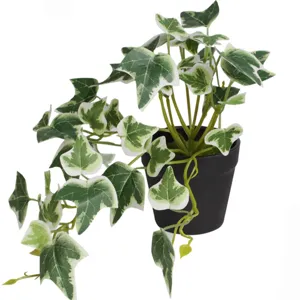 Close-up of artificial ivy potted plant with variegated green and white leaves