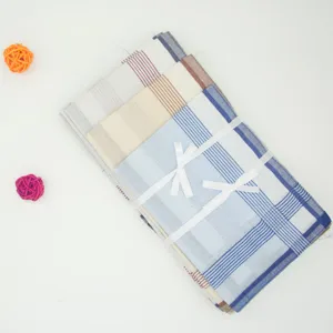 Assortiment van 40 cm katoenen geruite herenzakdoeken in kleuren met een strik