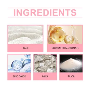 Ingredient detail infographic of makeup setting powder showing core components like talc and mica.