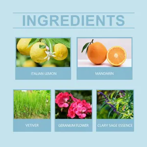 Perfume detail infographic showing natural ingredients like Italian lemon, mandarin, and vetiver.