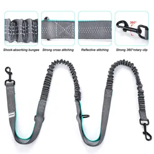 Details of pet bungee leash with reflective stitching and 360-degree rotary clip