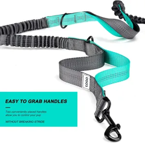 Close-up of bungee dog leash with dual padded handles for easy control during runs.