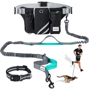 Professional outdoor pet training waist bag and bungee dog leash set for running