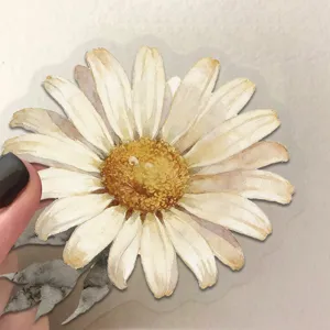 Detailed view of vintage watercolor daisy PET transparent sticker for decoration