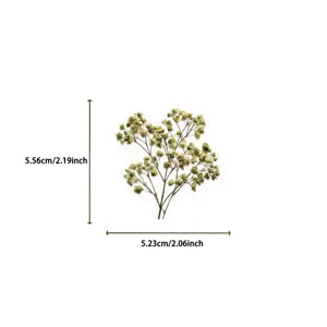 Detailed dimension view of a vintage dried flower Gypsophila PET decorative sticker