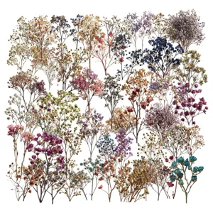 Vintage Dried Flower Gypsophila PET Stickers Waterproof Transparent Decorative Decals For Scrapbook Laptop Journal Bottle