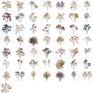 Detailed grid display of vintage dried flower PET stickers in various colors and floral styles