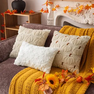 Cozy pumpkin embroidered plush pillowcases for autumn Halloween festive sofa decor