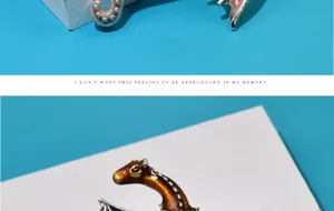 Detailansicht der Retro-Emaille-Flugdrachen-Brosche für Herrenanzüge
