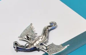 Detaillierte Rückansicht einer Drachen-Brosche mit Metallverschluss-Detail