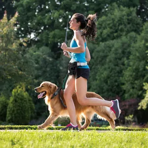 Hands-free dog walking leash with a functional running waist pack for outdoor exercise.