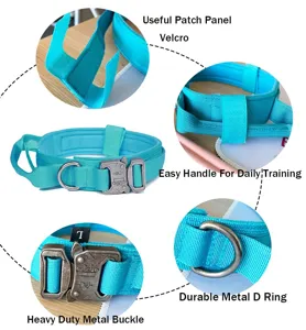 Vistas detalladas del collar táctico turquesa para perro con hebilla y anilla en D
