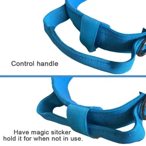 Vista detallada del collar táctico azul de nailon para perros con asa y velcro.