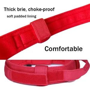 Vista detallada del collar táctico rojo para perros con suave forro acolchado