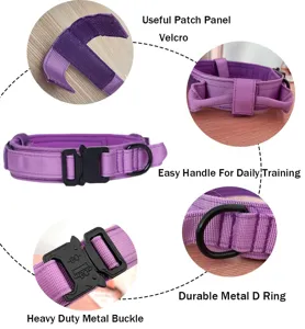 Detalle de la hebilla de metal y el asa en este collar táctico morado para perros.