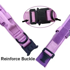 Vista detallada de collar táctico púrpura para perro con hebilla metálica reforzada.